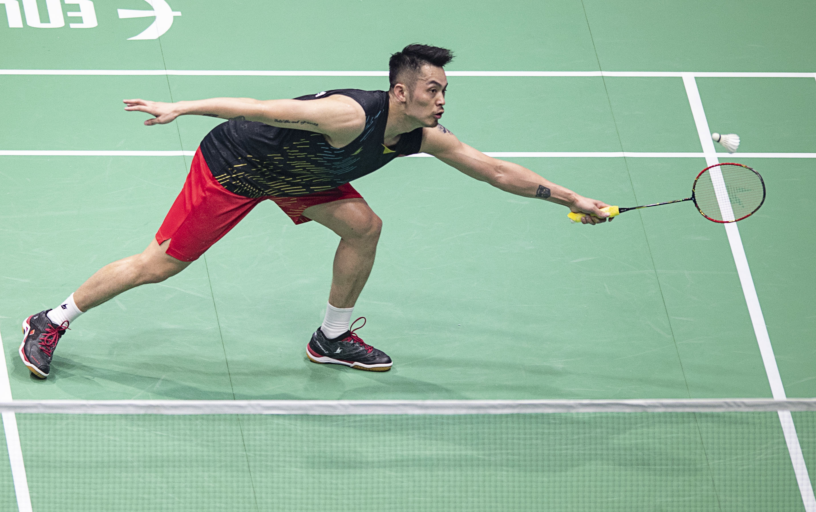 进一步奠定 进一步奠定