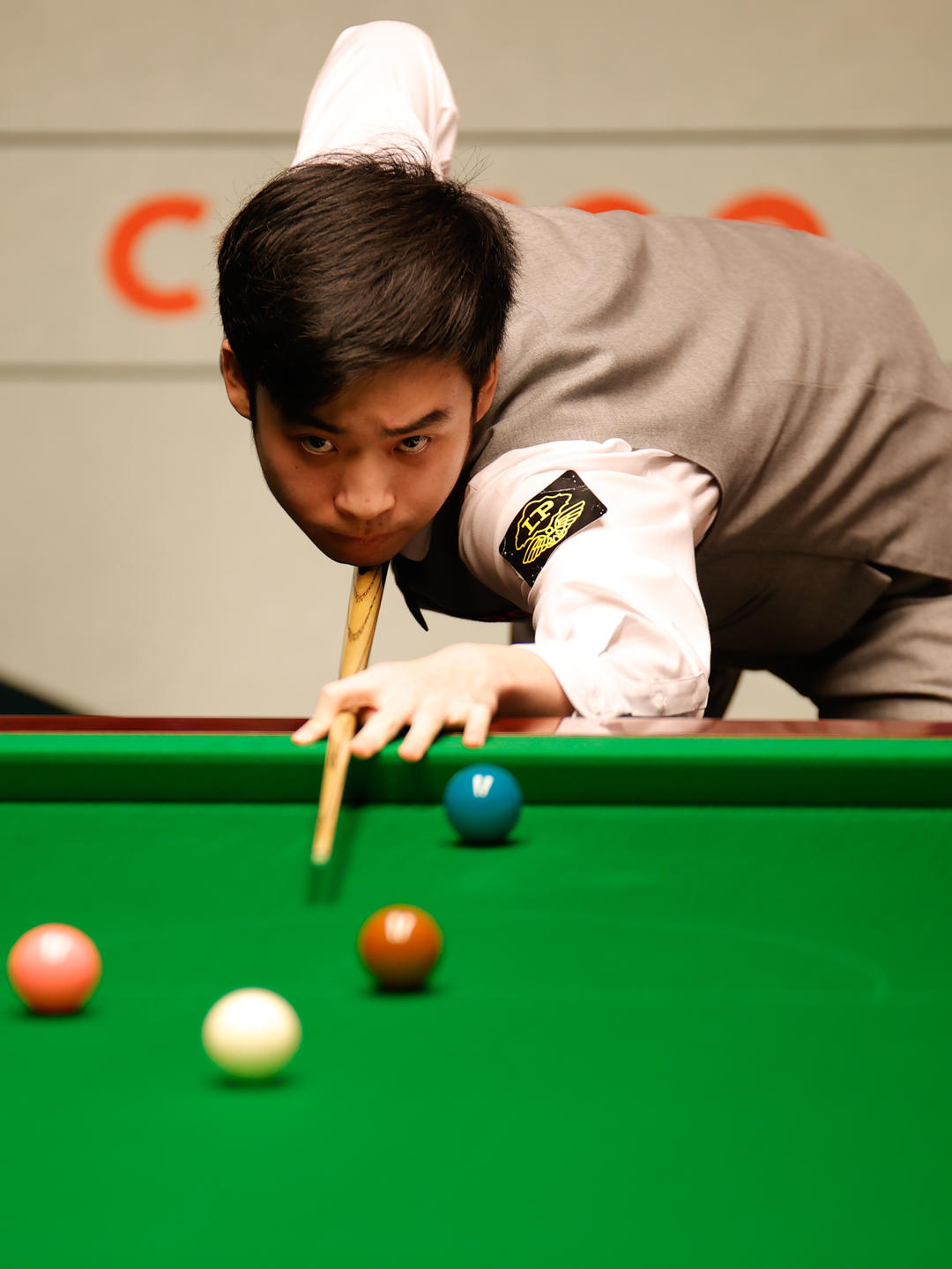 供了宝贵的 供了宝贵的